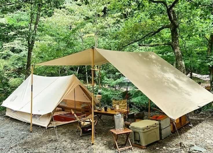 اصول حرفه ای کمپینگ چیست؟